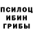 ГЕРОИН хмурый Tino Or