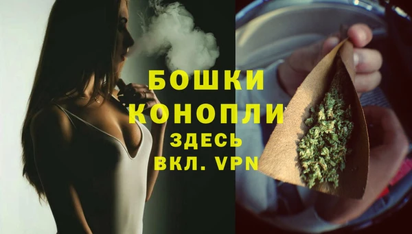 гашик Сосновоборск