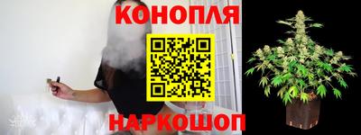 спиды Обь