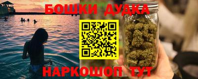 спиды Обь