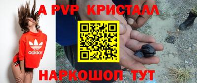 спиды Обь