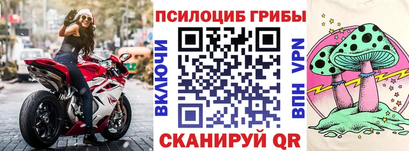 где найти   Урус-Мартан  Галлюциногенные грибы Magic Shrooms 