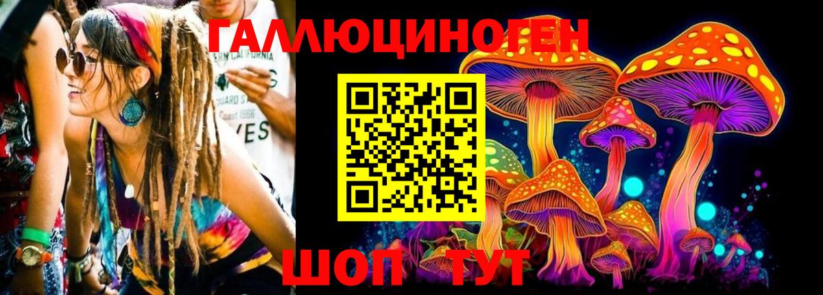 Галлюциногенные грибы Psilocybe  Урус-Мартан  Псилоцибиновые грибы Magic Shrooms 