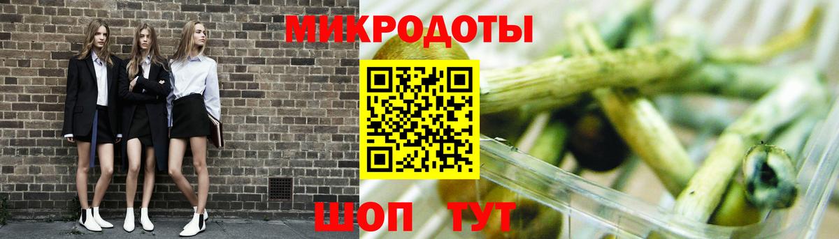 Галлюциногенные грибы Psilocybine cubensis Урус-Мартан