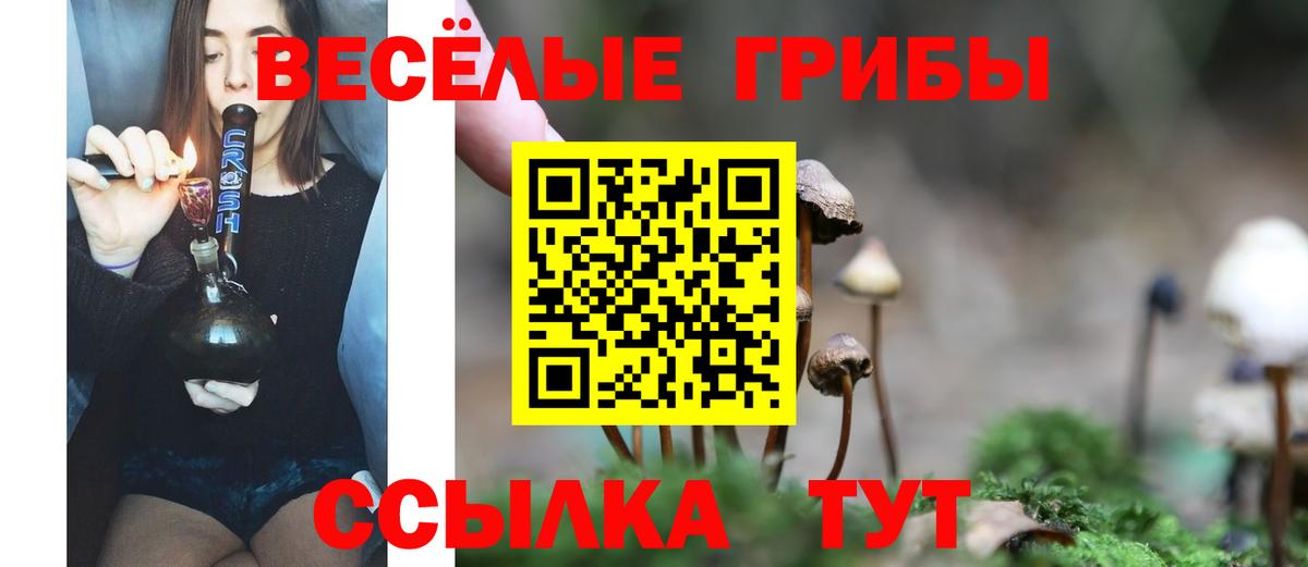 Галлюциногенные грибы Magic Shrooms  Вход с VPN  Урус-Мартан  Псилоцибиновые грибы Psilocybe 
